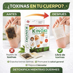 Parches desintoxicantes Kinoki 🌿